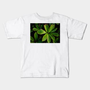 The Palmately Compound Leaf Kids T-Shirt